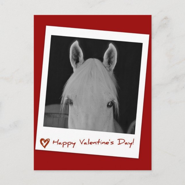 Carte Postale Stella (Devant)