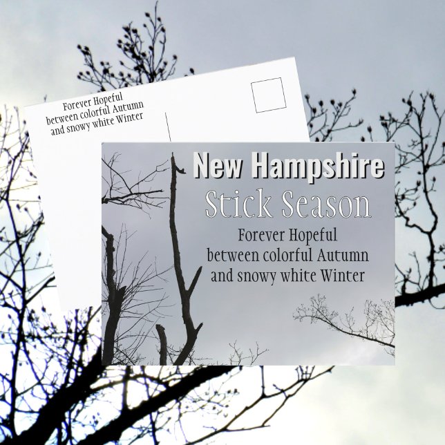 Carte Postale Stick New Hampshire Saison Nouvelle-Angleterre Pho (Créateur téléchargé)