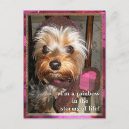 Carte postale Stores de vie