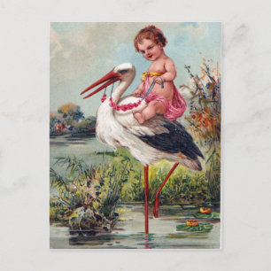 Carte Postale Stork and Baby from 1909