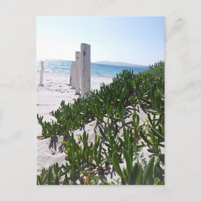 Carte Postale Strand bei Alghero Sardinien - Postkarte (Devant)