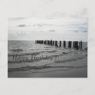 Carte Postale Strand en Floride Pelikane Geburtstagskarte