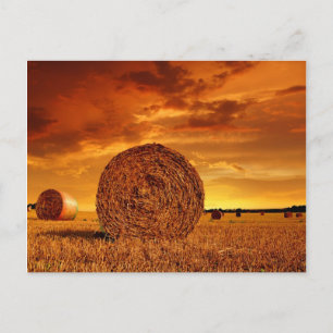 Carte Postale Straw bales on farmland with red cloudy sky