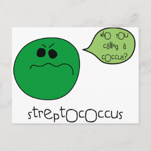 Carte Postale Streptocoque