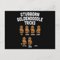 Stubborn Goldendoodle Tricks Funny Dog Trainer Mam