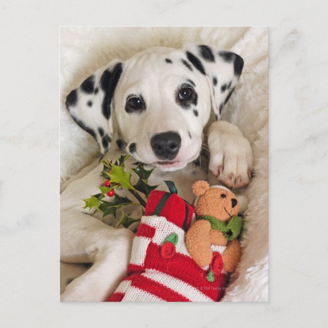 Carte Postale studio (Devant)