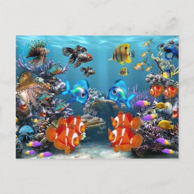 Carte Postale Style Vie marine Aquarium (Devant)