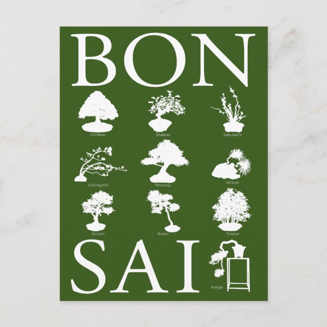 Carte Postale Styles de base d'arbre en pot (Devant)