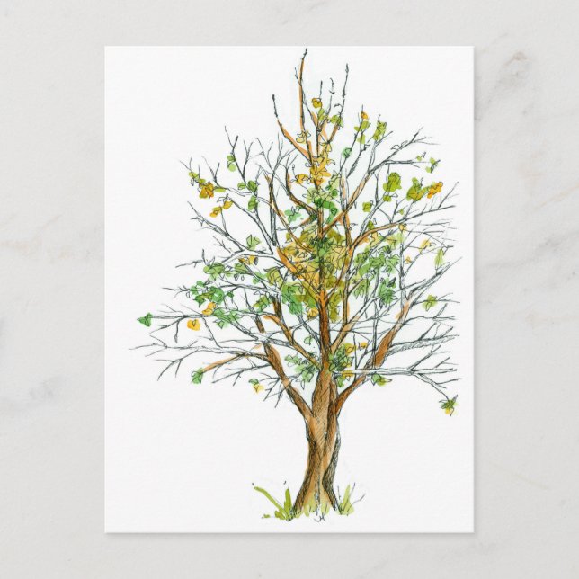 Carte Postale Stylet d'arbre d'automne et dessin d'encre aquarel (Devant)