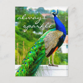 Carte Postale Stylish Blue Green Peacock photo toujours étincela