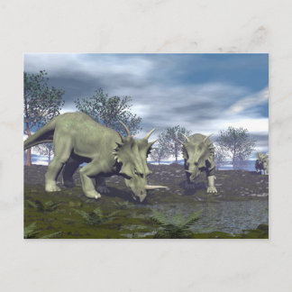 Carte Postale Styracosaurus dinosaures allant à l'eau - rendu 3D