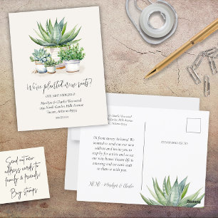 Carte Postale Succulent Planté Nouvelles Racines Weve Déplacé No