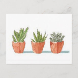 Carte postale Succulente