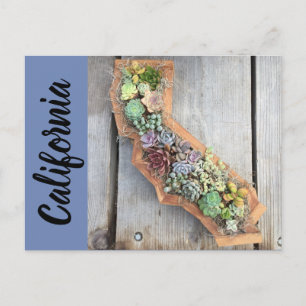 Carte postale Succulente Californie
