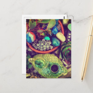Carte Postale Succulentes et joli art de jardin