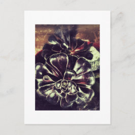 Carte Postale Succulents