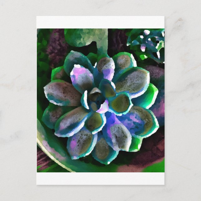 Carte Postale Succuss (Devant)