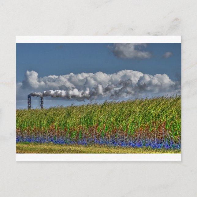 CARTE POSTALE SUCRE CANNE MOLL RURAL QUÉENSLAND AUSTRALIE (Devant)