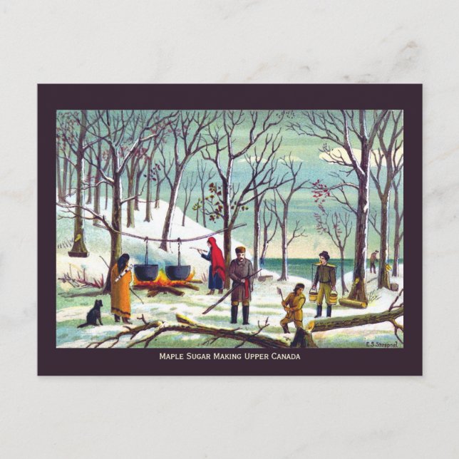 Carte Postale Sucre de sirop d'érable du Haut-Canada (Devant)