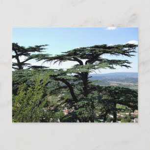Carte Postale Sud de la France