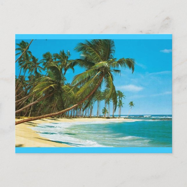 Carte Postale sudsee-plage-murale (Devant)