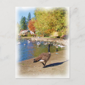 Carte Postale Suivez-moi