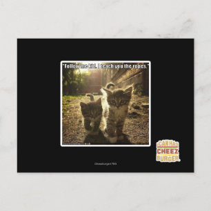 Carte Postale Suivez-moi mon enfant