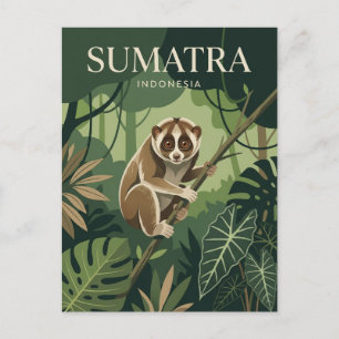 Carte Postale Sumatra Indonésie