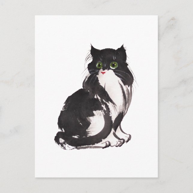 Carte Postale Sume de chat noir et blanc (Devant)