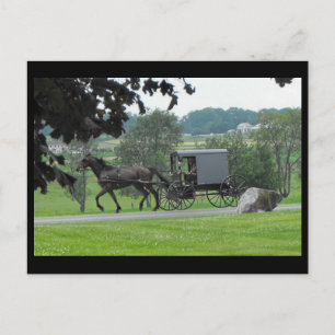 Carte Postale Summer in Lancaster County