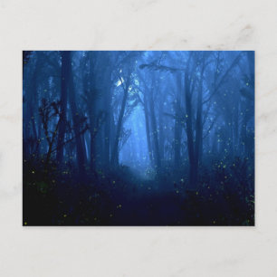 Carte postale Summerwood