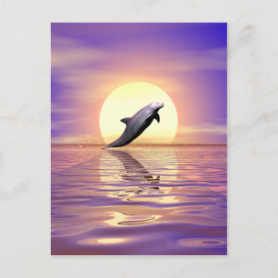 Carte Postale Sun Dolphin