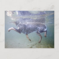 Sun Valley, Idaho, États-Unis.