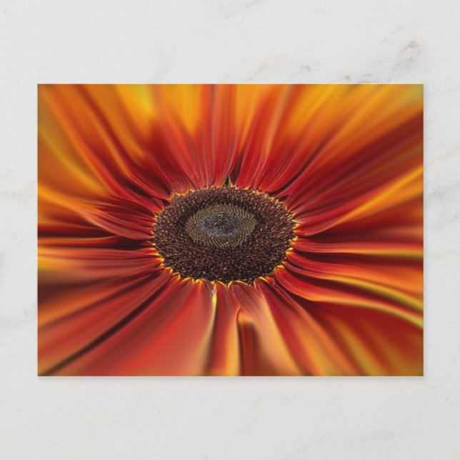 Carte Postale Sunburst (Devant)