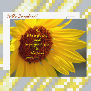 Carte Postale Sunflower Be Like a Flower quote Photographie