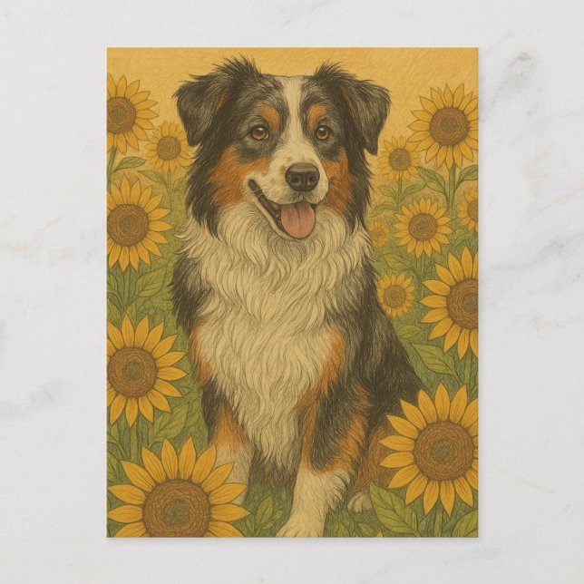 Carte Postale Sunflower Berger Australien                      (Devant)