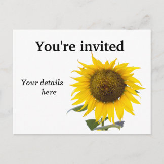 Carte Postale Sunflower Postcard