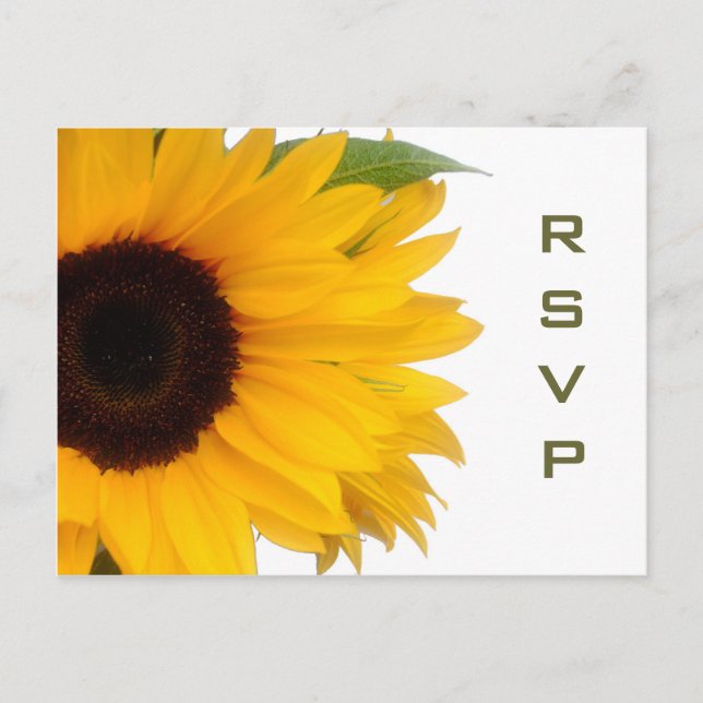 Carte postale Sunflower RSVP (Devant)