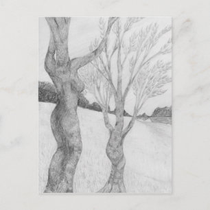 Carte postale SunGathering