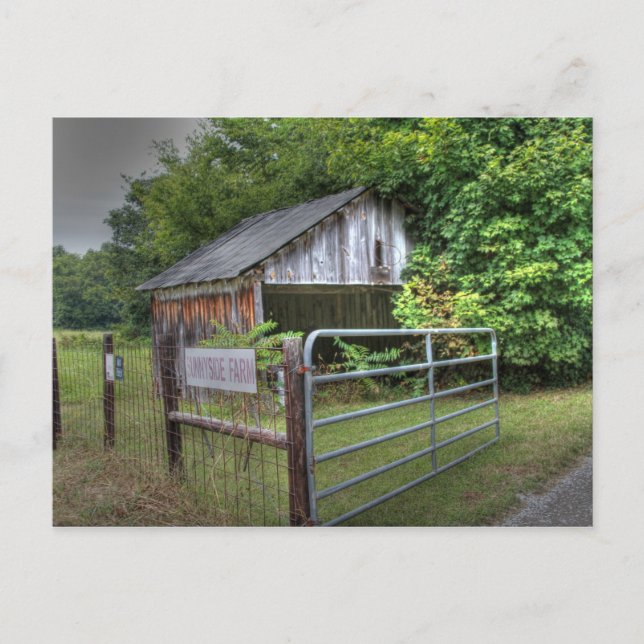 Carte Postale Sunnyside (Devant)