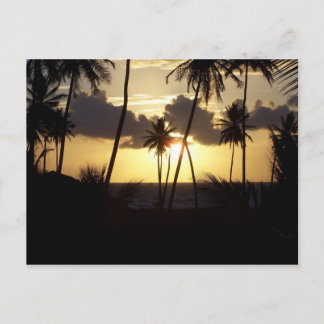 Carte postale Sunrise