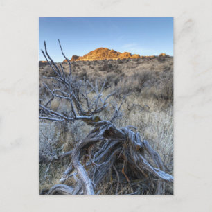 Carte Postale Sunrise at Squaw Creek, Owyhee County, ID
