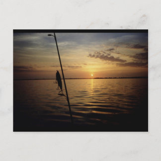 Carte Postale Sunrise Fishing