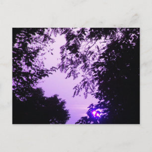Carte postale Sunrise in Purple