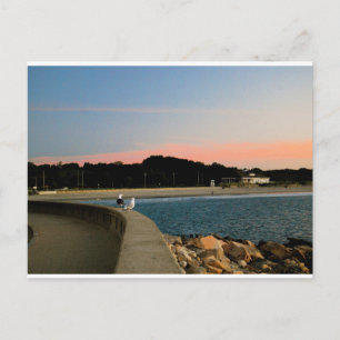 Carte postale Sunrise Seaguls