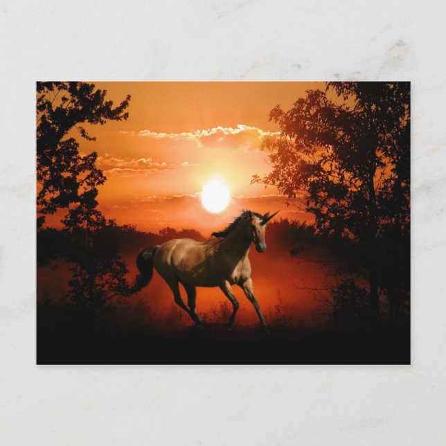 Carte Postale Sunrise Unicorn (Devant)