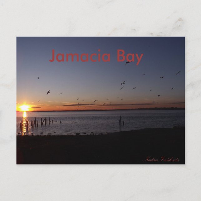 Carte postale Sunset (Devant)