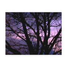 Carte postale Sunset