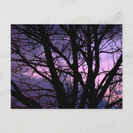 Carte postale Sunset