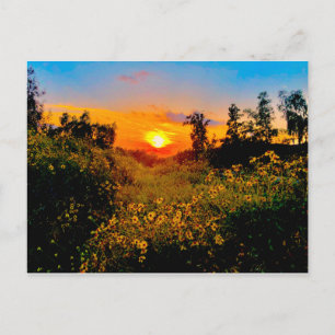 Carte Postale Sunset Burbank, California Yellow Wild Flowers